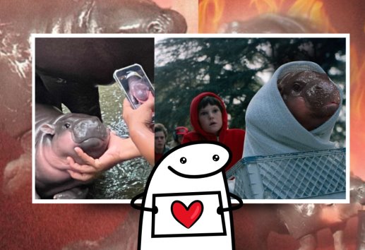 Los mejores memes de Moo Deng, el tierno hipopótamo bebé que se hizo VIRAL