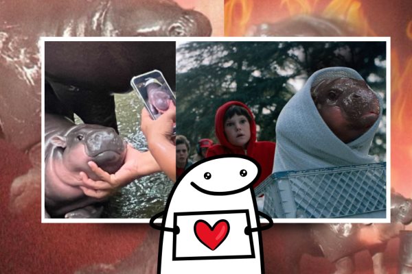 Los mejores memes de Moo Deng, el tierno hipopótamo bebé que se hizo VIRAL