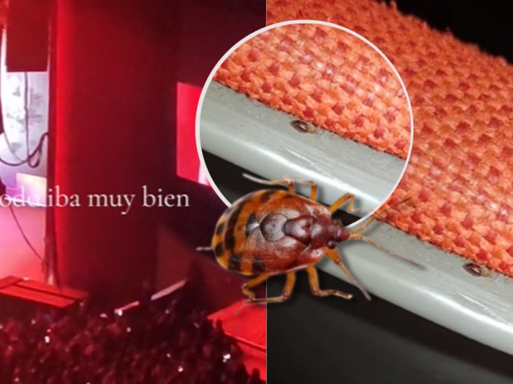 ¿Hay chinches en el Auditorio Nacional? Usuarios revelan impactante video