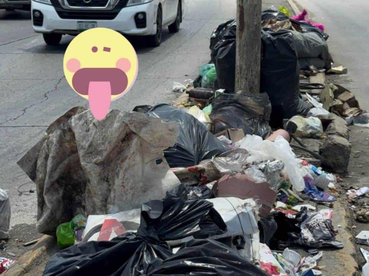 ¡Qué asco! Amanece Poza Rica inundada de basura