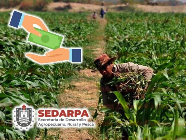 Productores veracruzanos podrán acceder a programas de crédito