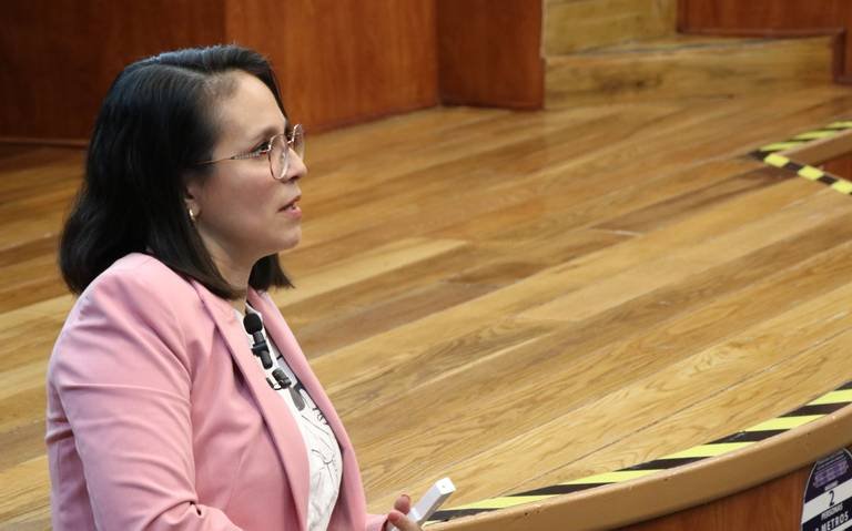 INE designa a María Fernanda Sánchez Rubio como próxima consejera de OPLE Veracruz