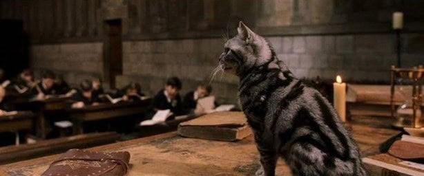 Muere Maggie Smith la Señorita McGonagall en Harry Potter, estas fueron sus mejores escenas