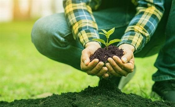 Agroecología en acción