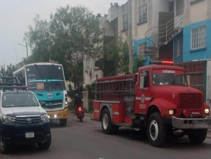 Mascota provoca fuga de gas en fraccionamiento del puerto de Veracruz