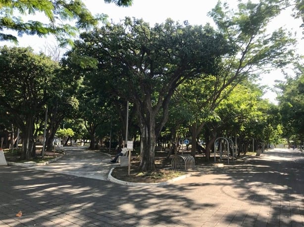 Megapuente en Veracruz: estos parques puedes visitar con tu familia durante el fin de semana largo