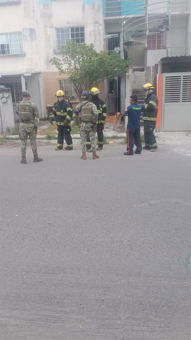 Mascota provoca fuga de gas en fraccionamiento del puerto de Veracruz