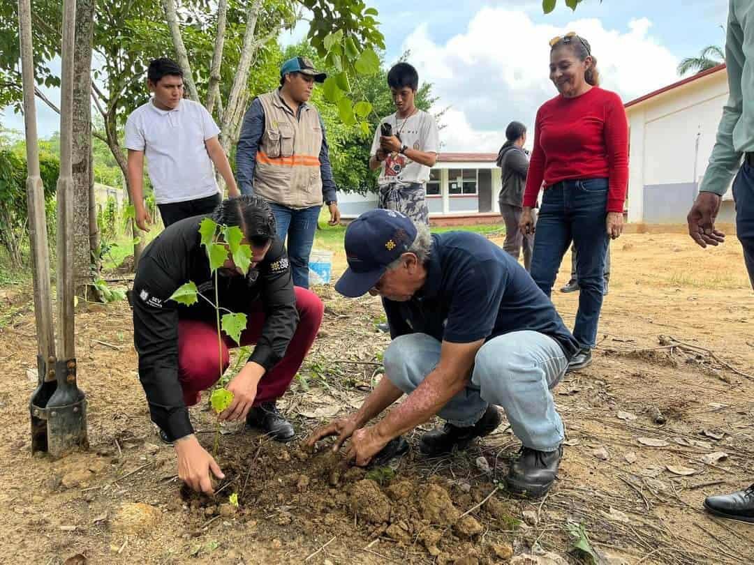 Cobaev 44 puso en marcha programa forestal ¿cuál es el objetivo?