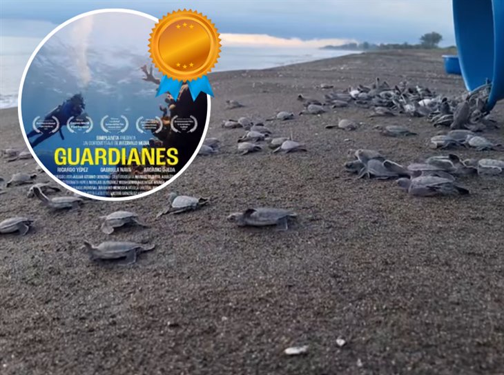 Documental "Guardianes" gana premio; aborda trama sobre campamento tortuguero en Veracruz