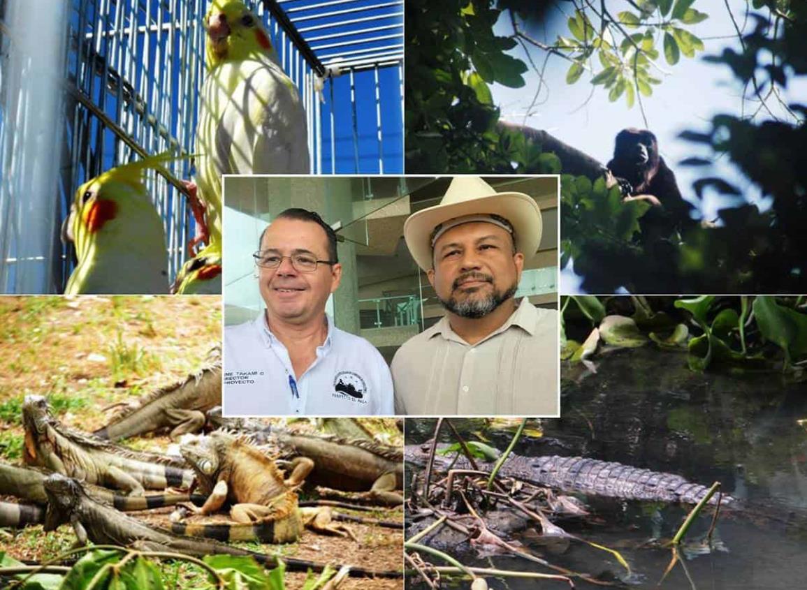 Corredor Interceánico: con este proyecto buscan proteger a la fauna del Istmo l VIDEO