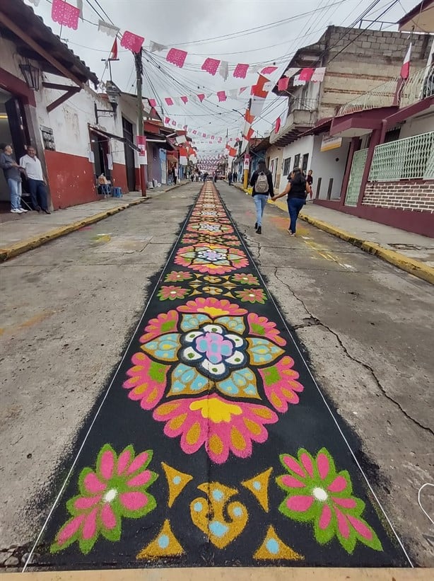 Comienza elaboración de la tradicional alfombra de aserrín en Coatepec