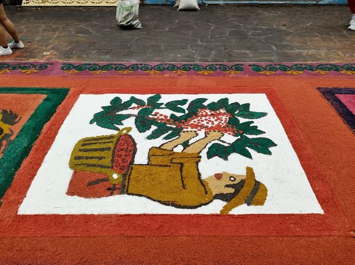 Comienza elaboración de la tradicional alfombra de aserrín en Coatepec