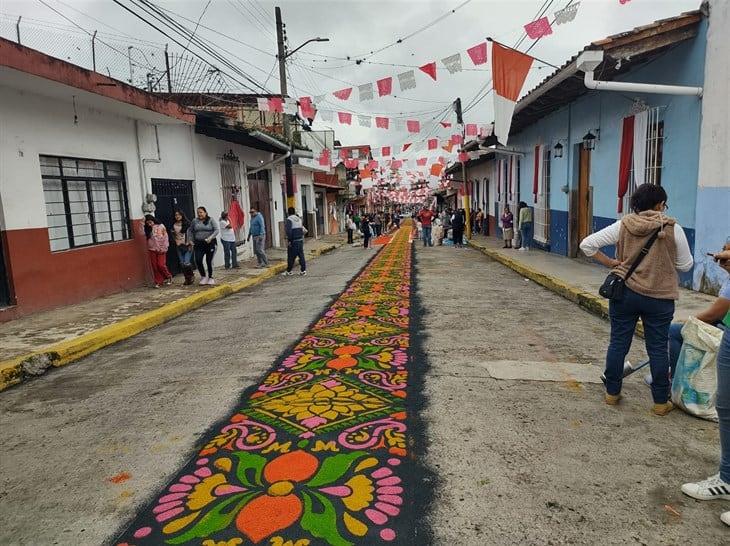 Comienza elaboración de la tradicional alfombra de aserrín en Coatepec