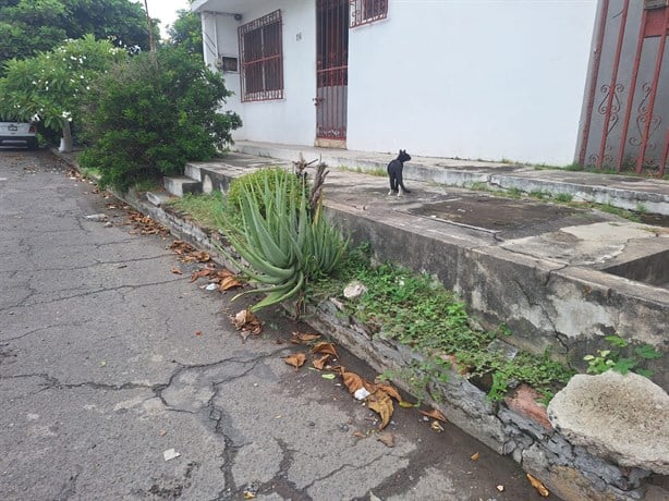 Vecinos de la colonia Playa Linda en Veracruz sufren inundaciones desde hace medio siglo