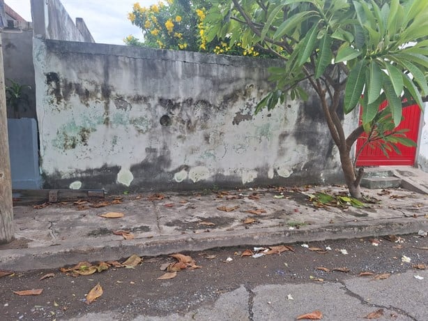 Vecinos de la colonia Playa Linda en Veracruz sufren inundaciones desde hace medio siglo