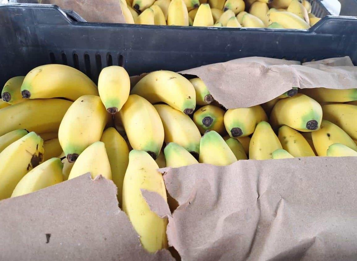 ¡Casi regalado! a este bajo precio se vende el platano roatán en Coatzacoalcos