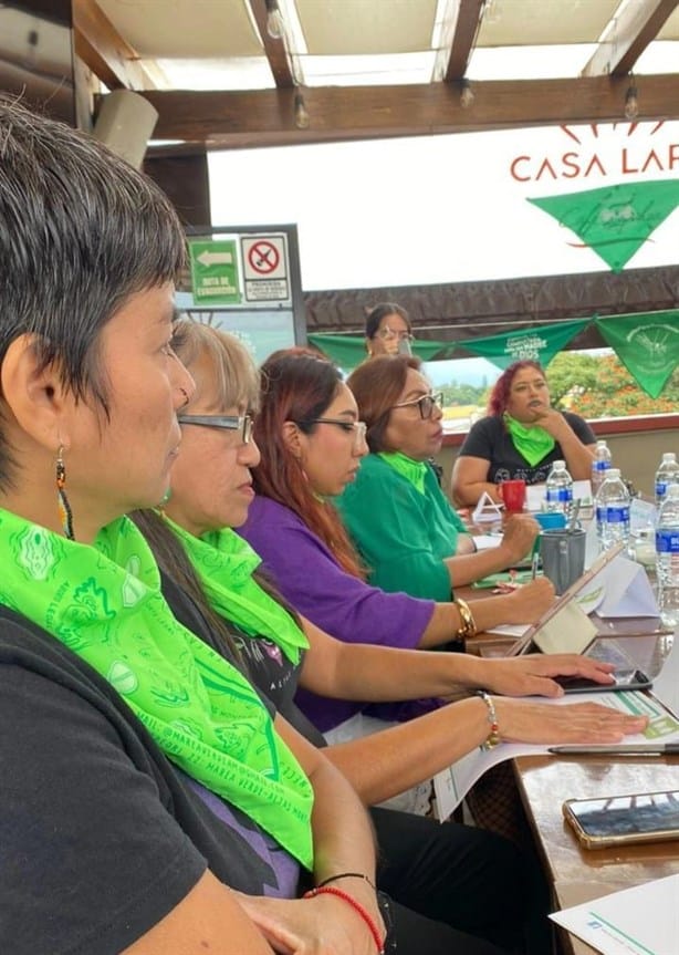 Marea Verde Altas Montañas dialoga sobre interrupción legal del embarazo en Veracruz