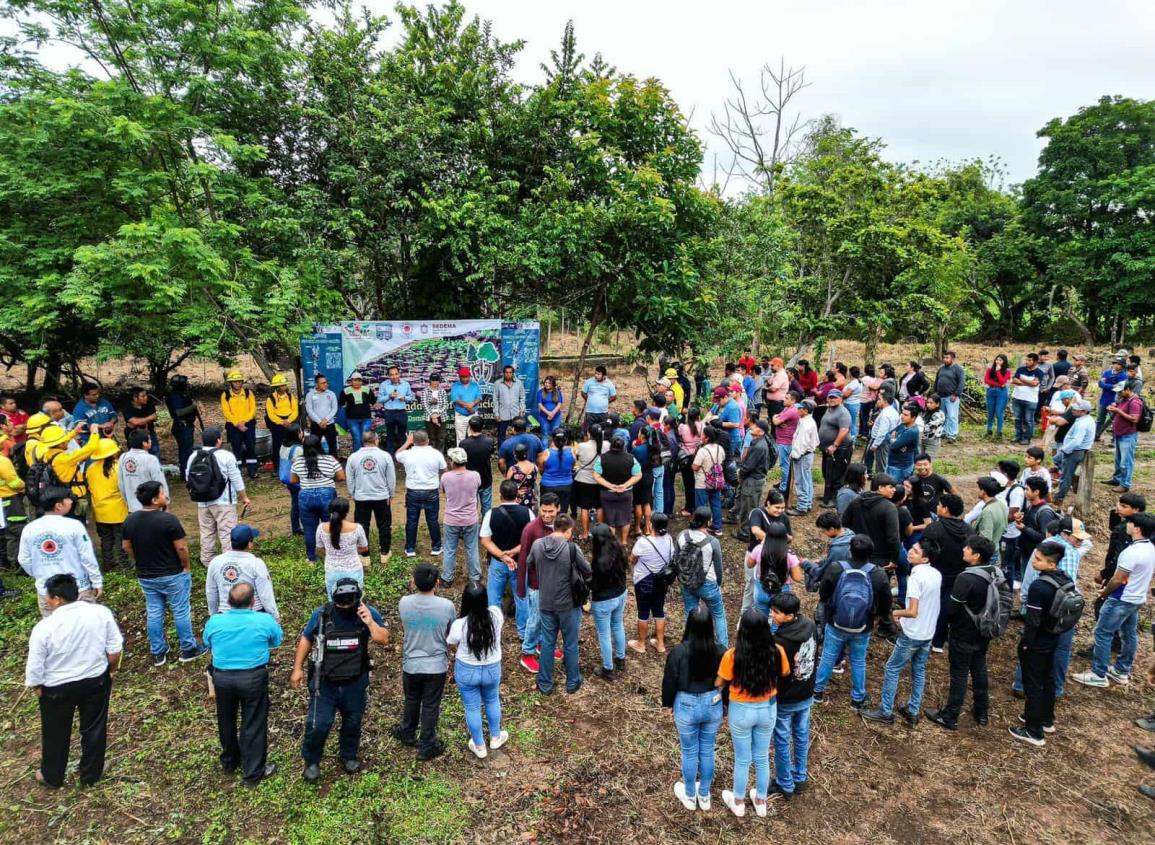 Encabeza alcalde de Soteapan importante jornada de reforestación