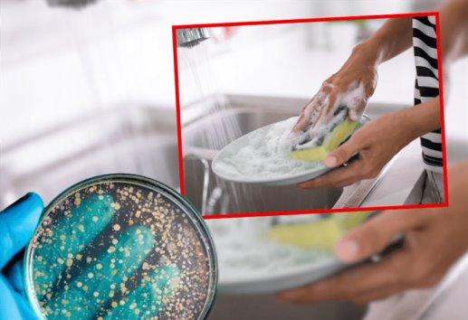 ¿Cómo desinfectar una esponja para trastes?, esta es la forma correcta según la ciencia 