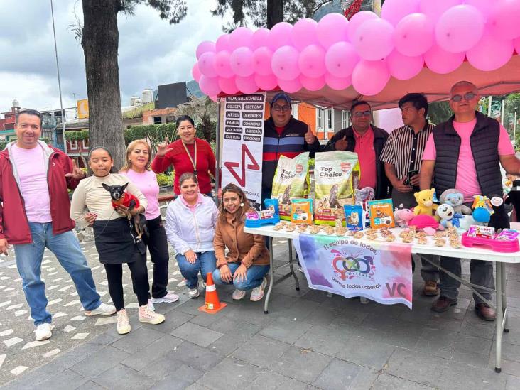 Donan alimento para albergues temporales de mascotas en Río Blanco