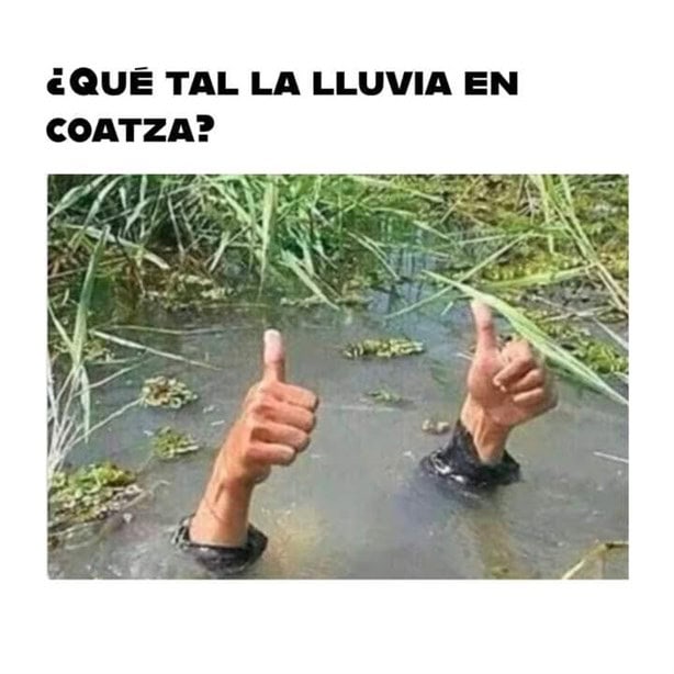 Se viralizan memes tras fuertes lluvias en Coatzacoalcos | Fotos