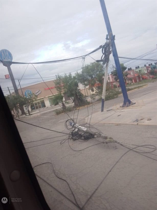 Árboles y cables de telefonía caídos dejan los fuertes vientos del norte en Veracruz