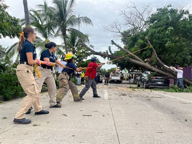 Madre de familia pierde su camioneta tras caída de árbol en avenida Urano de Veracruz