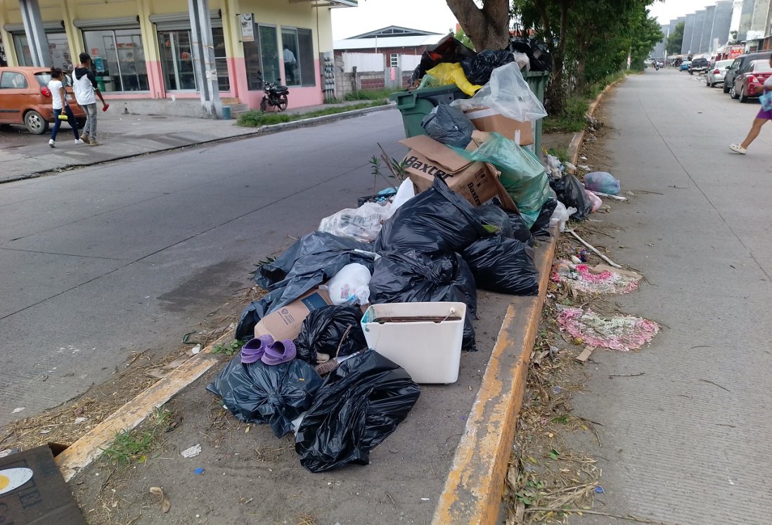 Vecinos de Lagos de Puente Moreno denuncian basura acumulada y falta de recolección