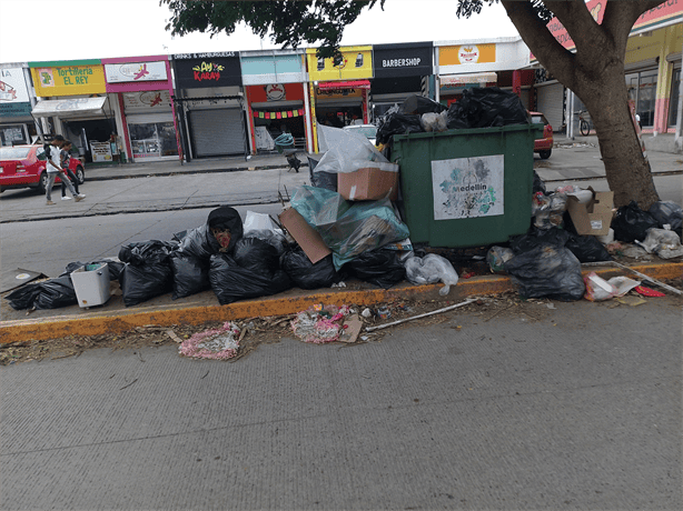 Vecinos de Lagos de Puente Moreno denuncian basura acumulada y falta de recolección