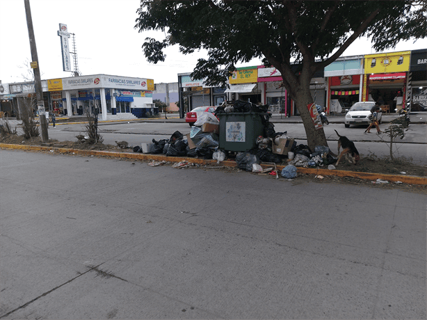 Vecinos de Lagos de Puente Moreno denuncian basura acumulada y falta de recolección