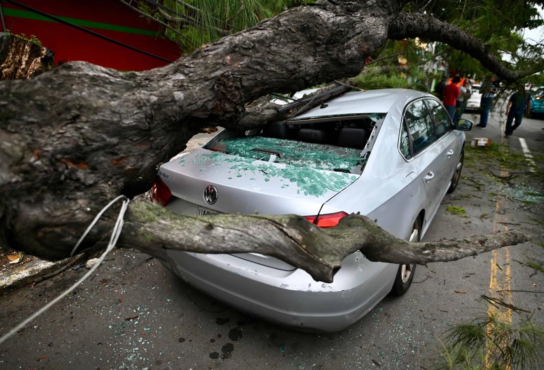 Cae árbol y aplasta moto y tres camionetas en zona de mercados de Veracruz