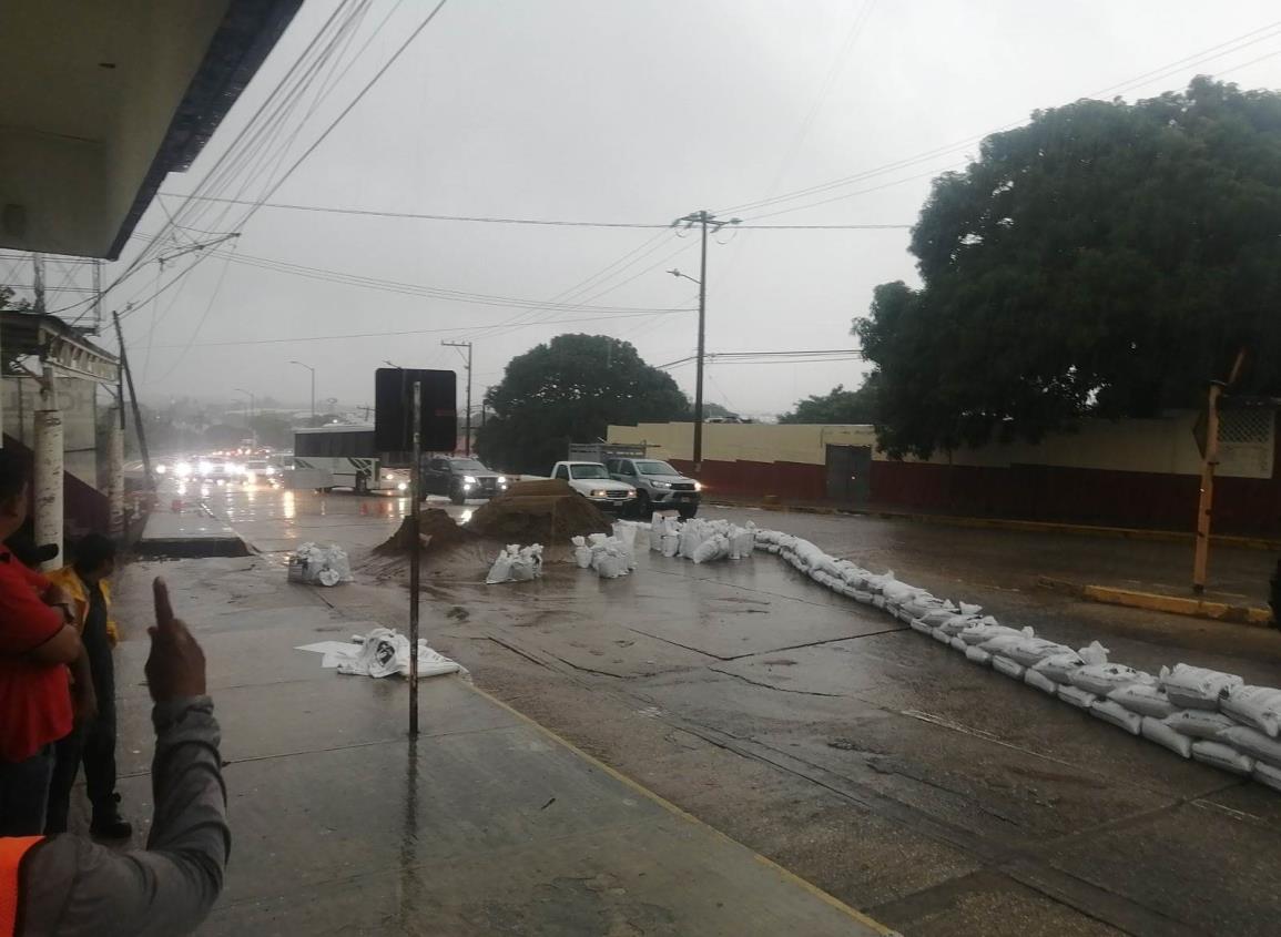 Con 4 mil costalillas refuerzan acceso del puente Palma Sola en Coatzacoalcos l VIDEO