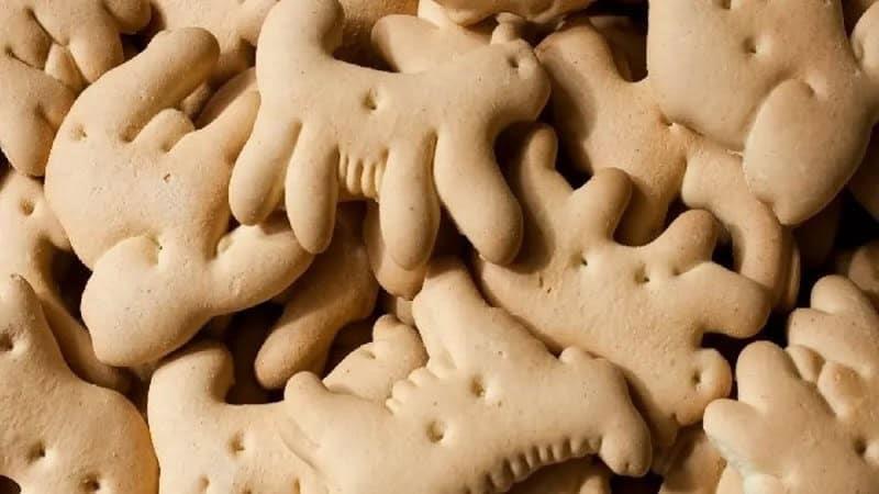 Este es el origen y la historia de las populares galletas de animalitos