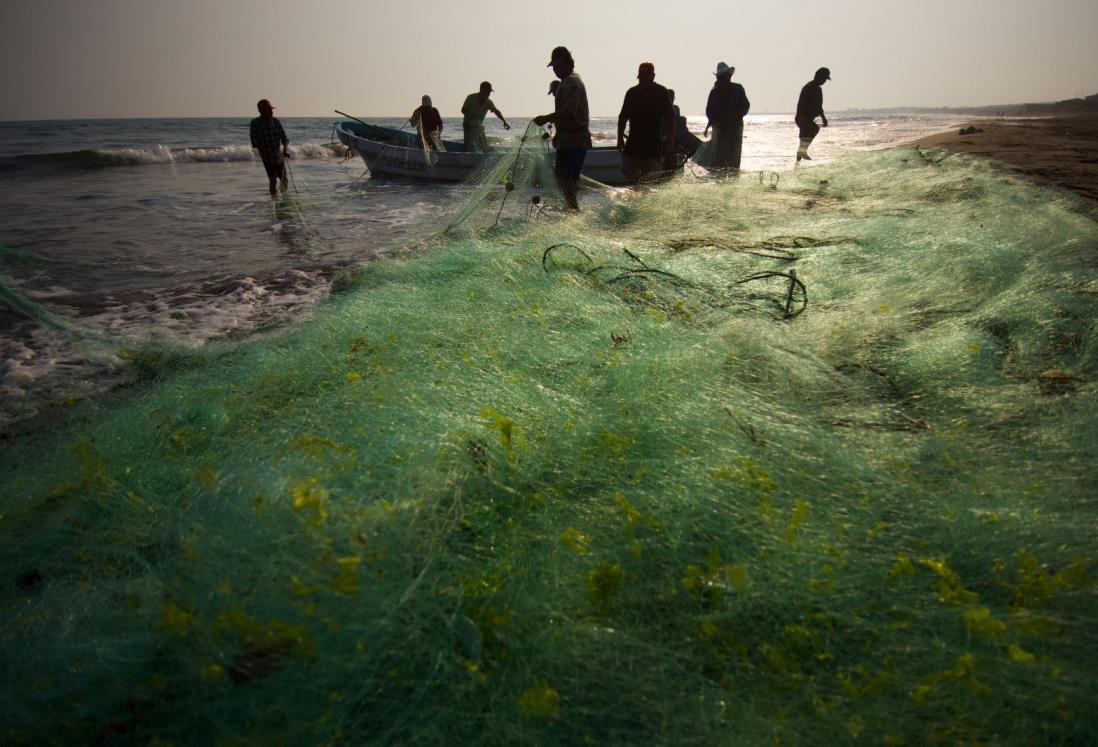 Frente frío benefició la producción para pescadores en Veracruz