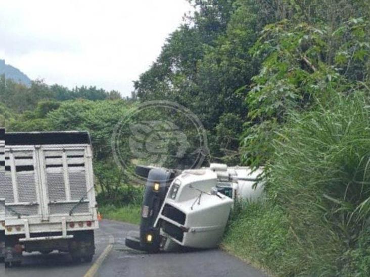 Vuelca en Huatusco camión con 20 toneladas de comida para mascota