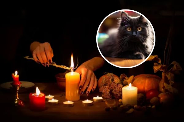 Por esta razón llaman a proteger a perros y gatos negros en Veracruz durante octubre