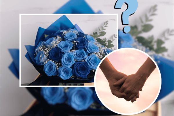 Día del novio 2024: ¿Qué significa regalar flores azules a los hombres hoy 3 de octubre? 