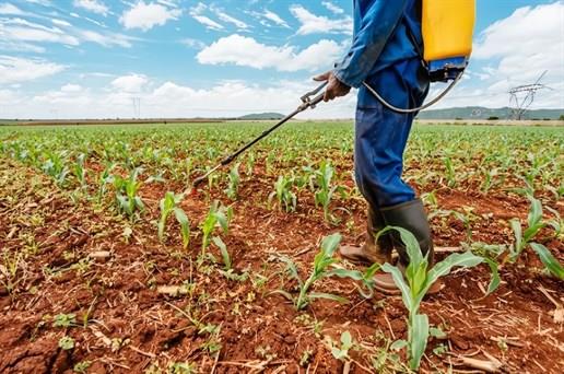 El camino hacia una agricultura más eficiente