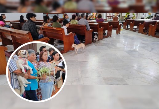 Mascotas son bendecidas por día de San Francisco de Asís en Xalapa