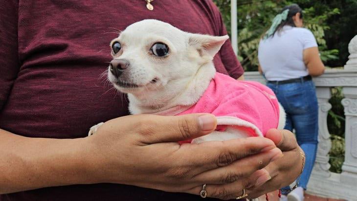 Realizan bendición de mascotas en Tihuatlán, como parte de fiestas de San Francisco de Asís