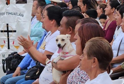 Realizan bendición de mascotas en Tihuatlán, como parte de fiestas de San Francisco de Asís