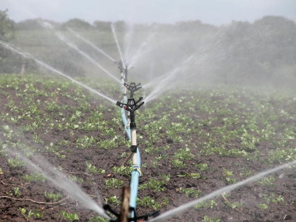 El camino hacia una agricultura más eficiente