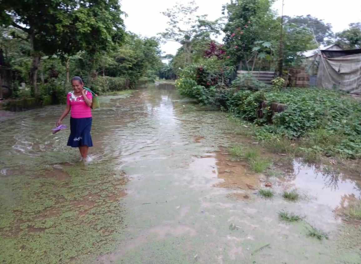 Más de 30 familias entre el agua en Minatitlán tras desbordamiento del río Coatzacoalcos