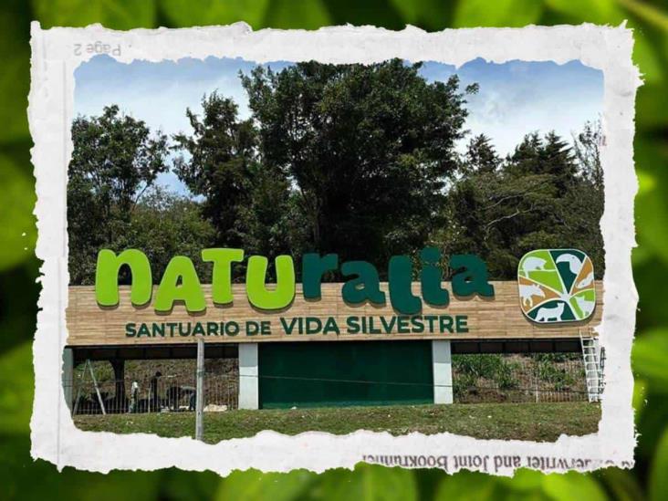 Parque Naturalia Xalapa: Bienestar de los animales está asegurado, sostiene Sedema