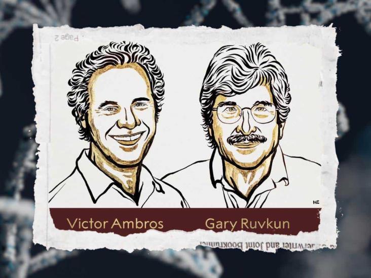 Premio Nobel 2024: ¿Qué es el microARN descubierto por Victor Ambros y Gary Ruvkun?