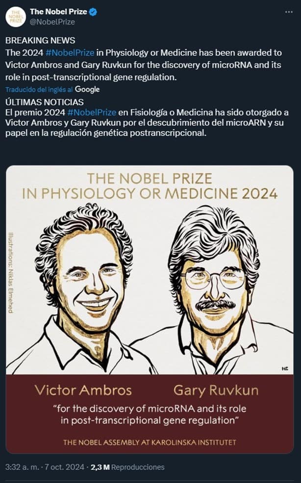 Premio Nobel 2024: ¿Qué es el microARN descubierto por Victor Ambros y Gary Ruvkun?