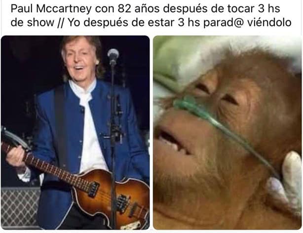 Paul McCartney sigue dándolo todo a sus 82 años, ¿dónde será su próximo concierto?