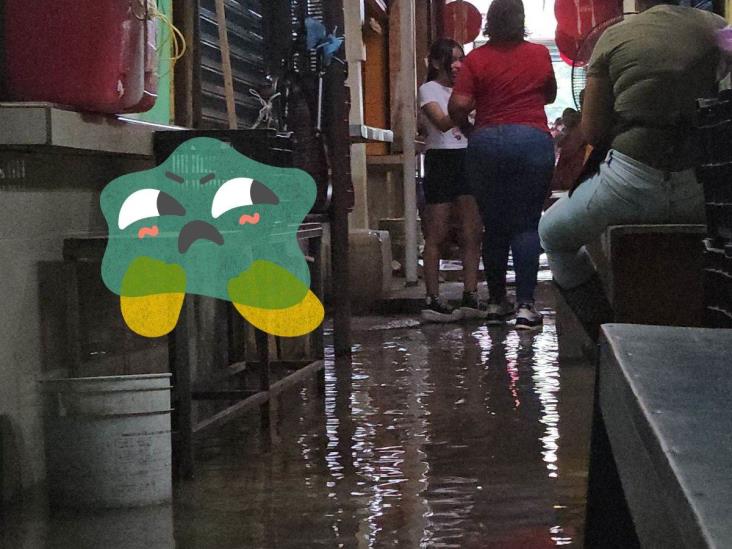 Aguas negras inundan pasillos del mercado Santa Fe en Poza Rica