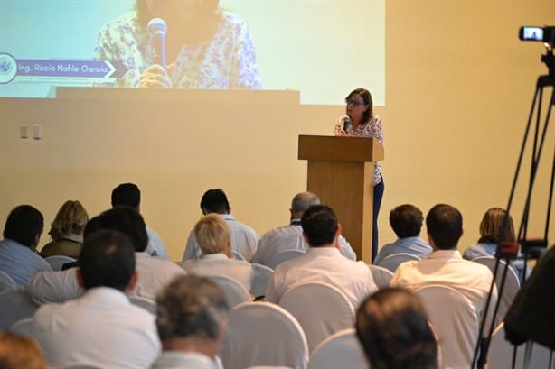 Rocío Nahle: Se impulsará desarrollo industrial del sureste