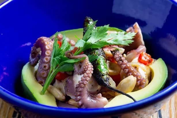 Secretos del mar: cómo hacer un pulpo a la veracruzana, paso a paso